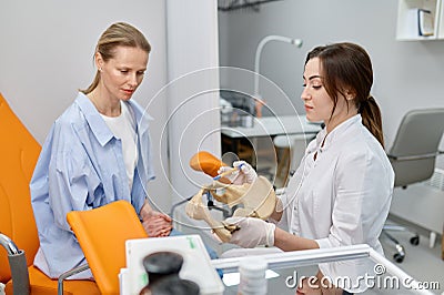 Gynecologist showing bones of female pelvis and giving consultation to woman Stock Photo