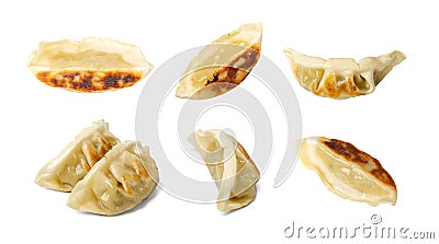 Gyoza Chinese Dumplings Isolated, Fried Vegetable Jiaozi, Chicken Momo Set, Asian Gyoza Collection Stock Photo