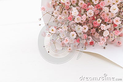 Gypsophila flowers or known as `baby breath` Stock Photo