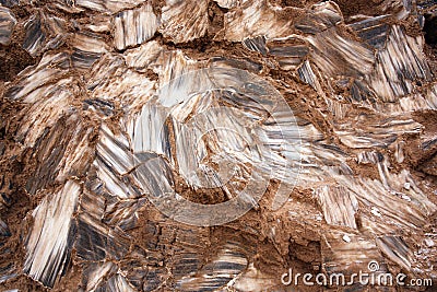 Gypsum Crystals Stock Photo
