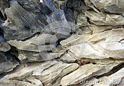 Gypsum crystals Stock Photo