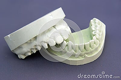Gypsum Model Stock Images Image 7234954 Gypsum Model Stock Images Image 7234954