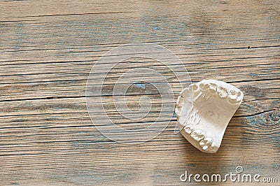 Gypsum model plaster cast for dental molar in laboratory Stock Photo