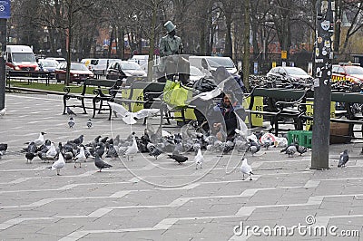 GYPSY WOMAN FEEDS FOOD TO PIGEONS Editorial Stock Photo