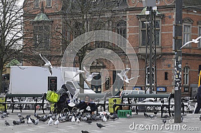 GYPSY WOMAN FEEDS FOOD TO PIGEONS Editorial Stock Photo