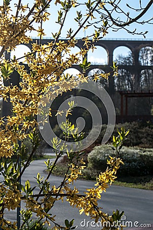 GÃ¶ltzschtalbrÃ¼cke - world largest brick-stone bridge Stock Photo