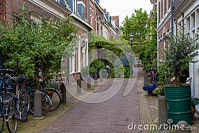 Haarlem, the Netherlands - March, 2022: decorative plants on the city street Cozy green little street in Haarlem. Concept social Editorial Stock Photo