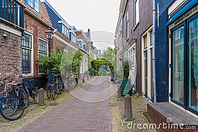 Haarlem, the Netherlands - March, 2022: decorative plants on the city street Cozy green little street in Haarlem. Concept social Editorial Stock Photo