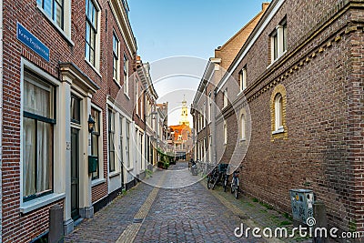 Haarlem, the Netherlands - March, 2022: decorative plants on the city street Cozy green little street in Haarlem. Concept social Editorial Stock Photo