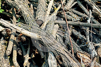 Habitat pile Stock Photo