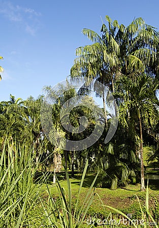 Habitation Clement in Martinique Stock Photo