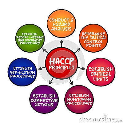 HACCP PRINCIPLES, identification, evaluation, and control of food safety hazards based on the following seven principles, mind map Stock Photo