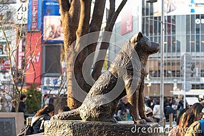 Hachiko Memorial Statue in Shibuya, Tokyo. Editorial Stock Photo