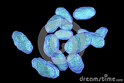 Haemophilus influenzae bacteria Cartoon Illustration