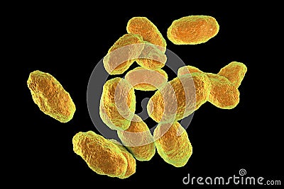 Haemophilus influenzae bacteria Cartoon Illustration