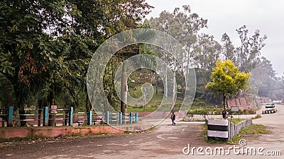 A deserted, empty, tree lined street in the town of Haflong Editorial Stock Photo