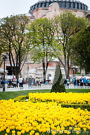 Hagia Sophia Museum in Istanbul, Turkey Editorial Stock Photo