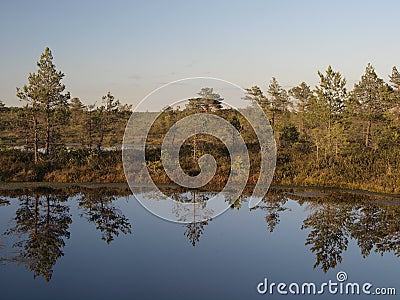 Hags in a marsh Stock Photo