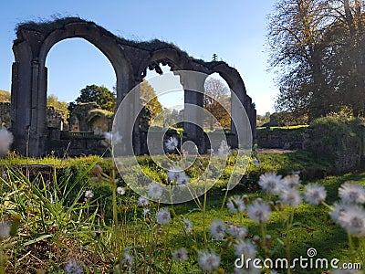 Hailes Abbey ruins in Cotswold, United Kingdom Stock Photo