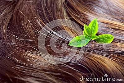 Hair care concept: beautiful shiny hair with highlights and green leaves Stock Photo