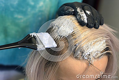 Hair coloring Hairdresser in gloves with a brush paints the roots of hair to a girl with a light color Stock Photo