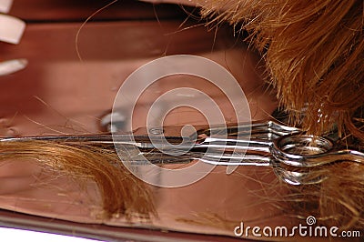 Hair cut Stock Photo