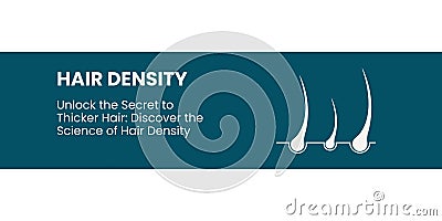 Hair Density Banner on Blue Background. Stylish Banner with Text and Icons for Healthcare Vector Illustration