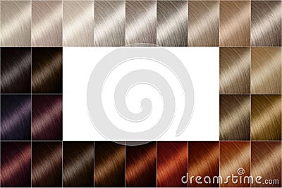 Hair dye shades. Hair color palette Stock Photo