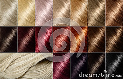 Hair dye shades. Hair color palette Stock Photo