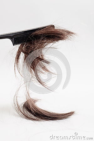 The hair falls in parts on a clean light background with a black comb. a clump of brown hair after a haircut on a white background Stock Photo