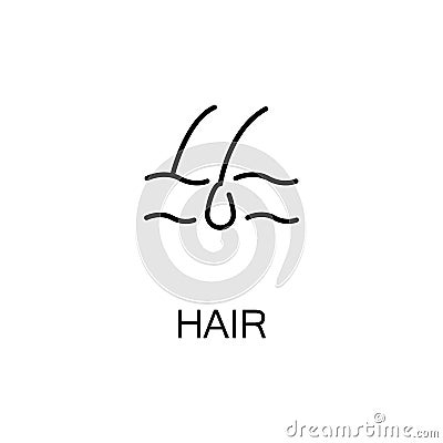 Hair flat icon or logo for web design. Vector Illustration