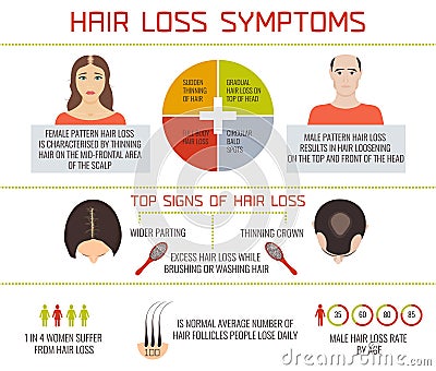 Hair loss symptoms infographics Vector Illustration