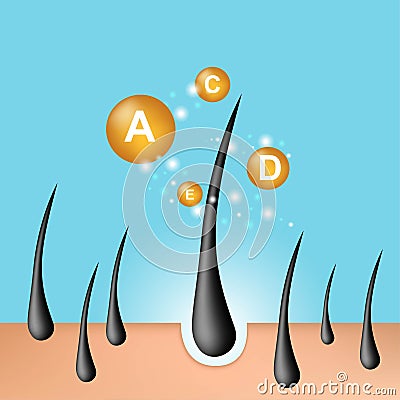 Hair root. Moisturizing hair. Hair care serum, oil, vitamin A, C, D and E, follicle diagnostics. Anatomy skin, medical Vector Illustration