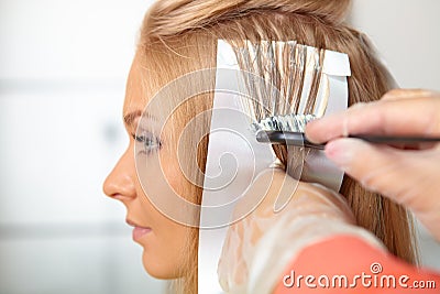 Hair salon. Coloring. Stock Photo