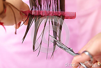 Hair salon. Woman haircut. Cutting. Stock Photo