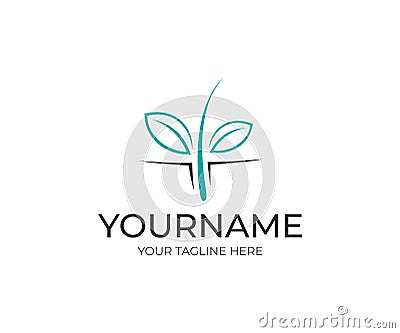 Hair, skin, follicle and leaves, logo design. Healthcare and medicine, spa salon, skin care and health, vector design Vector Illustration