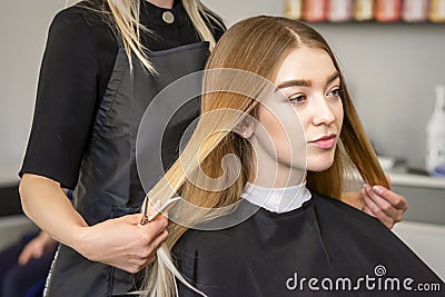 Hair stylist& x27;s hands doing professional hairstyling of female long hair in a beauty salon. Stock Photo