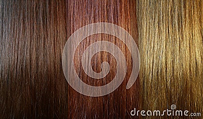 Hair tones Stock Photo