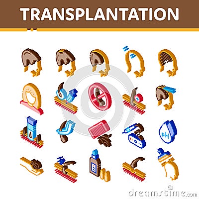 Hair Transplantation Isometric Icons Set Vector Vector Illustration