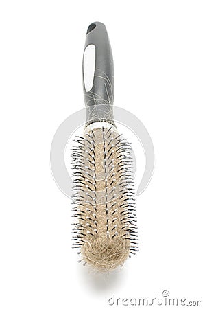 Hairbrush with hairs on the white background Stock Photo