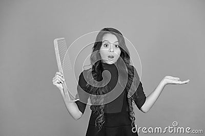 Hairbrush for tangled hair. Having fun. Perfect hair. Large comb. Girl gorgeous long hair hold big comb. Hairdresser Stock Photo