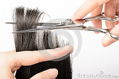 Haircut Stock Photo