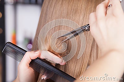 Hairdresser cut blond hair of a woman Stock Photo