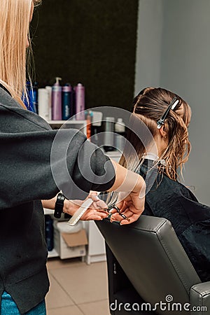 A hairdresser cuts a blonde& x27;s hair in a beauty salon. Women& x27;s haircut Stock Photo