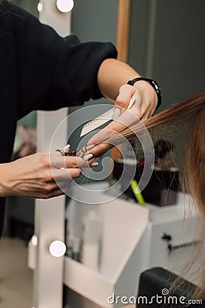 A hairdresser cuts a blonde& x27;s hair in a beauty salon. Women& x27;s haircut Stock Photo