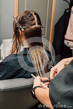 A hairdresser cuts a blonde& x27;s hair in a beauty salon. Women& x27;s haircut Stock Photo