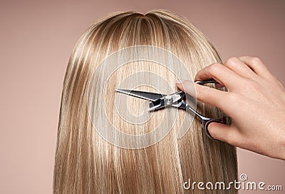 Hairdresser cuts long blonde hair with scissors Stock Photo
