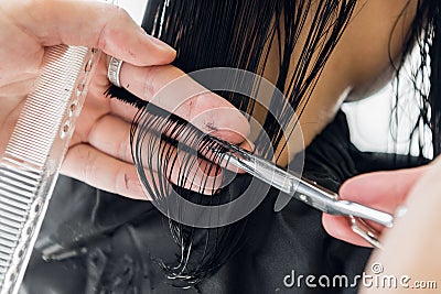 Hairdresser cutting client`s hair in salon with scissors closeup. Using a comb Stock Photo