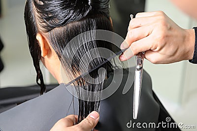 Hairdresser cutting the hair Stock Photo