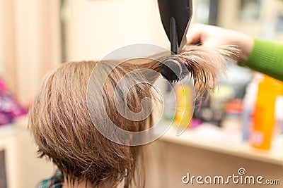 Hairdresser dries the hair dryer blond hair Editorial Stock Photo